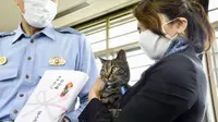 Selamatkan Nyawa Pria Tua, Kucing Ini Dapat Penghargaan