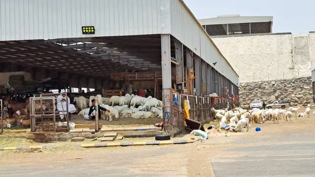 Pasar Anam di Makkah, salah satu tempat membeli kambing untuk membayar dam. (Liputan6.com/Mevi Linawati)