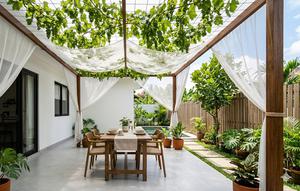 Model Teras Estetik dengan Tanaman Rambat Anggur sebagai Kanopi Alami.