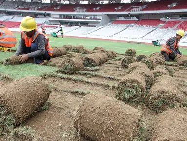 Pekerja menggulung rumput di Stadion Utama Gelora Bung Karno (SUGBK), Jakarta, Jumat (18/5). Panitia Pelaksana Asian Games 2018 (INASGOC) memindahkan rumput SUGBK ke area panahan hingga selesai upacara pembukaan Asian Games. (Liputan6.com/Johan Tallo)