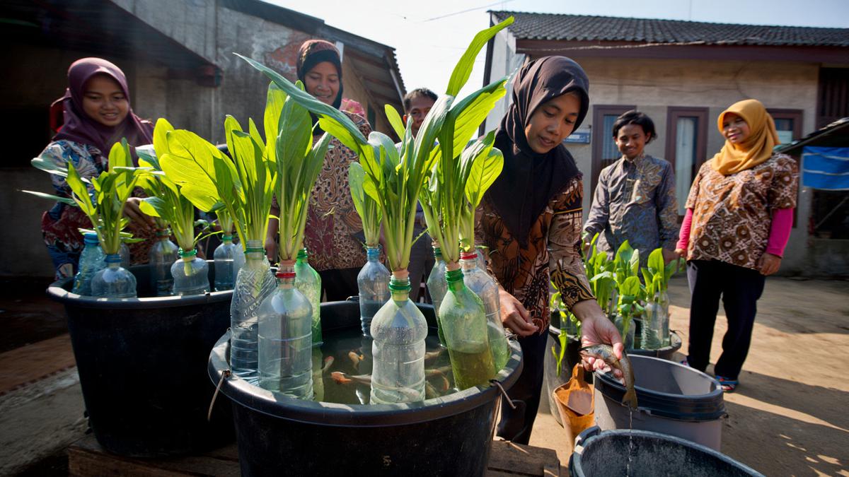 8 Ternak Hewan Mini yang Cepat Panen dan Cepat Laku, Cocok Buat Pemula