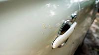 Getah pohon menetes ke bodi mobil. (foto: Shutterstock)