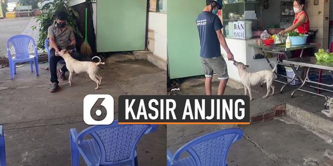 VIDEO: Viral Anjing Bantu Jadi Kasir Restoran Majikan