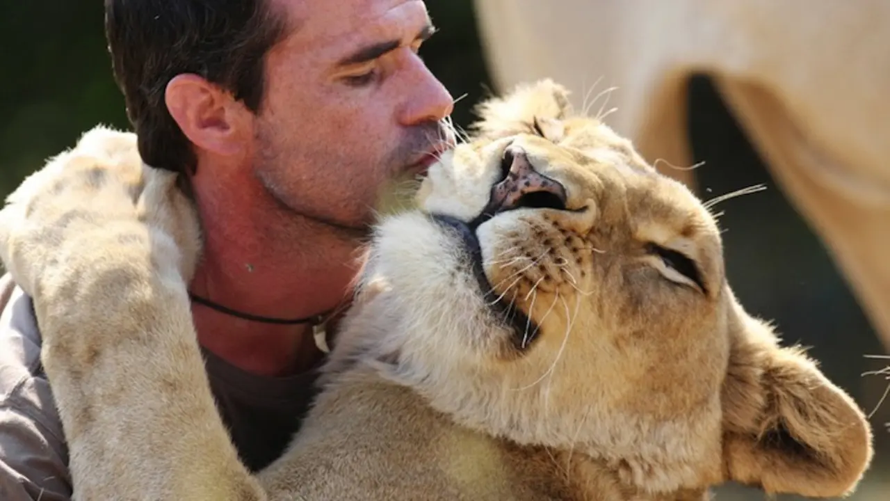 Kevin Richardson, 'Bapak' Singa dari Afrika