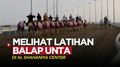 Berita Video, Vlog Bola Kali ini Akan Melihat Keseruan Latihan Balap Unta di Al-Shahaniya Camel Racetrack