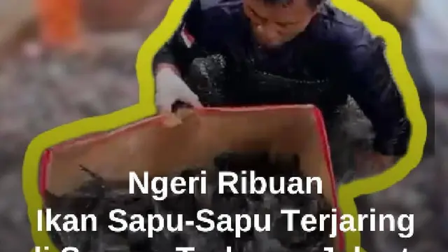 Ngeri! Penampakan Ribuan Ikan Sapu-Sapu Terjaring Operasi di Setu Babakan, Sarang Terbesar Jakarta