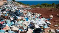 Ilustrasi polusi sampah di pantai. (Photo by Antoine GIRET on Unsplash)