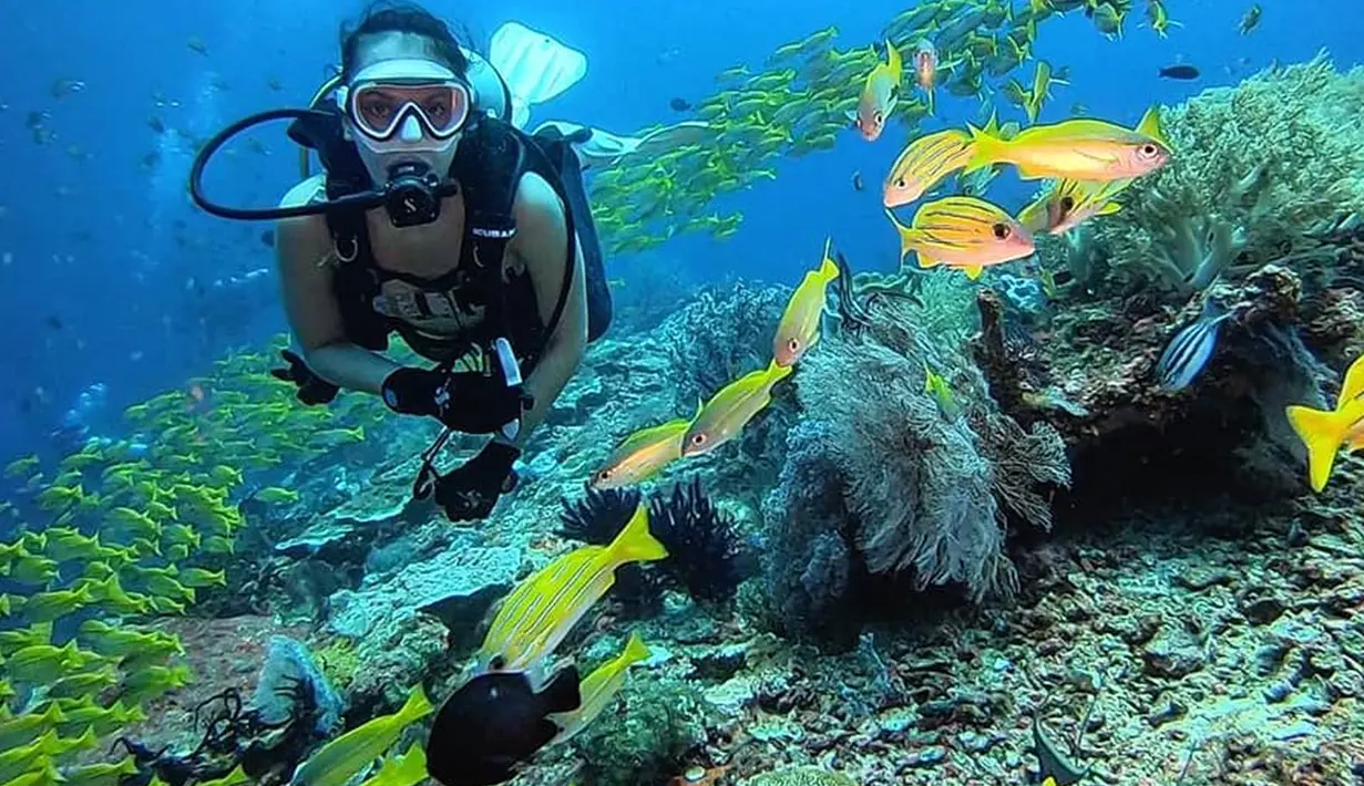 Keindahan laut Raja Ampat memang tak perlu diragukan lagi. Widika pun bertemu dengan banyak spesies laut seperti saat bertemu dengan ikan berwarna kuning di sekitarnya. Aktris yang membintangi Sebelum Iblis Menjemput Ayat 2 ini terlihat sangat menikmati divingnya. (Liputan6.com/IG/@wdkds)