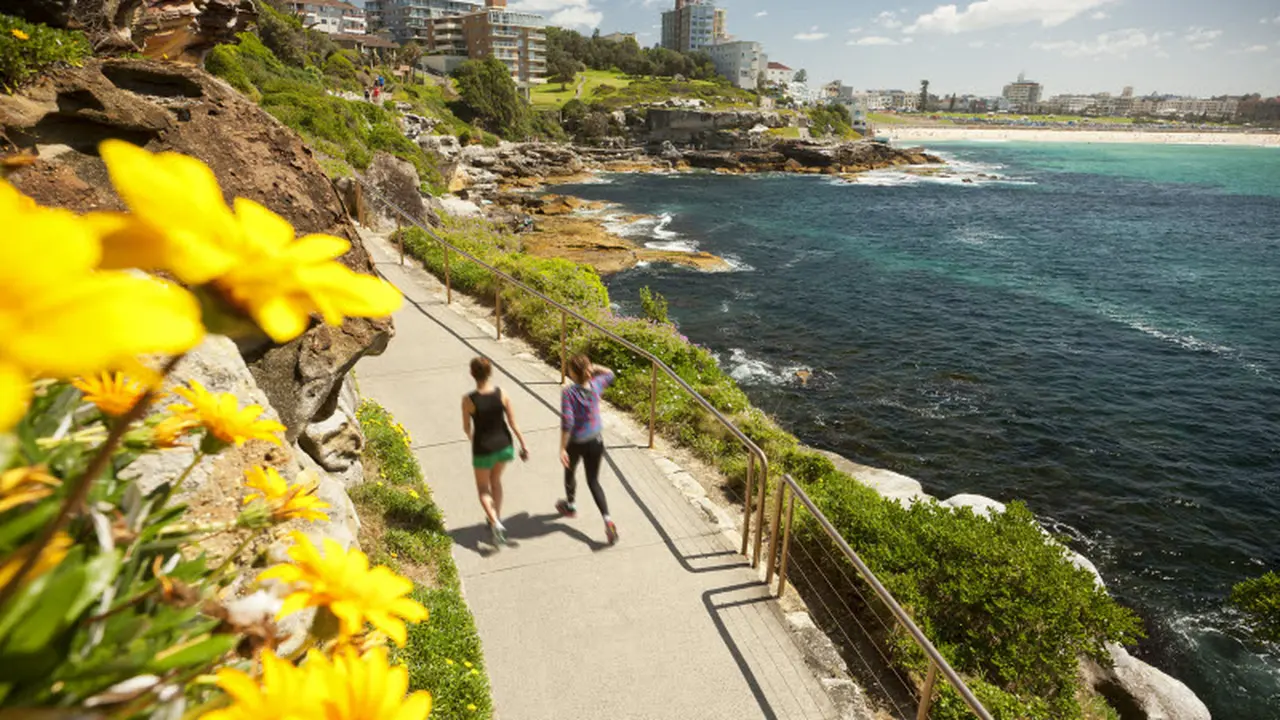 15 Trek 'Jogging' di Sydney Buat yang Bosan Lari dari Kenyataan