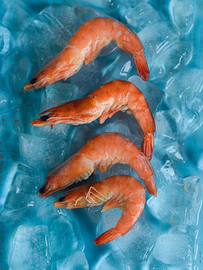 udang
