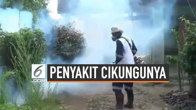 Virus Cikungunya mulai menyerang Kabupaten Bogor. Di Desa Pasarean hampir 100 orang terkena cikungunya, namun hanya beberapa warga yang dirawat di Puskesmas, sisanya memilih berobat jalan.