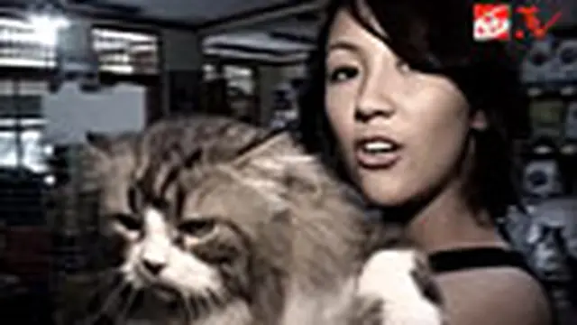 Sharena Rizky Mandikan Si Kucing Carlo