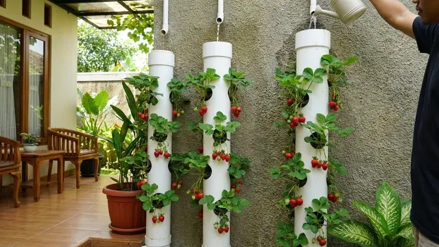 Kebun Buah Vertikal di Teras