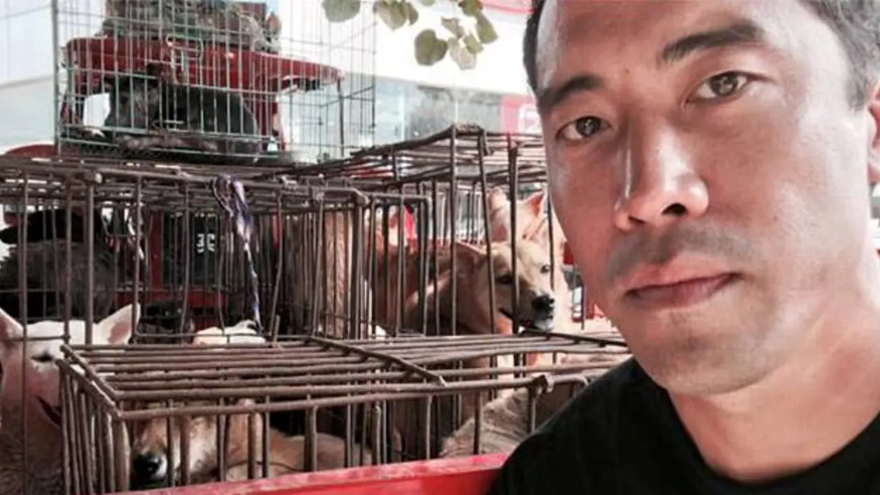 1,000 Anjing Berhasil Diselamatkan dari Rumah Potong di China