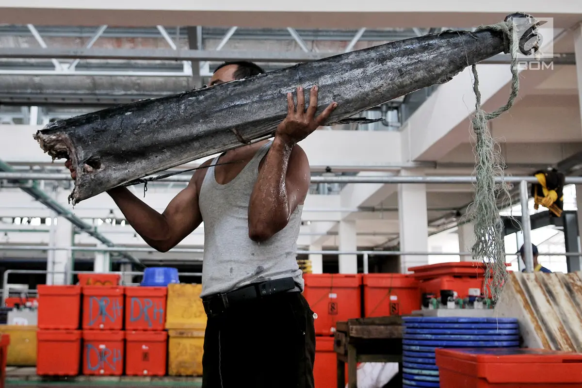 Pasar Ikan Modern Muara Baru Mulai Ditempati Pedagang