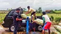 Kelompok Tani Tunas Harapan I saat panen timun di Desa Cilayang Kecamatan Cikeusal, Serang, Banten. Timun dipasarkan ke Pasar Induk Kramat Jati,