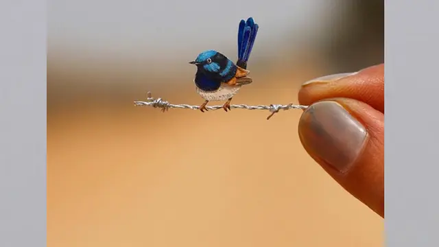Dua orang seniman India membuat ilustrasi burung dengan kertas setiap hari sekitar setengah tahun terakhir.