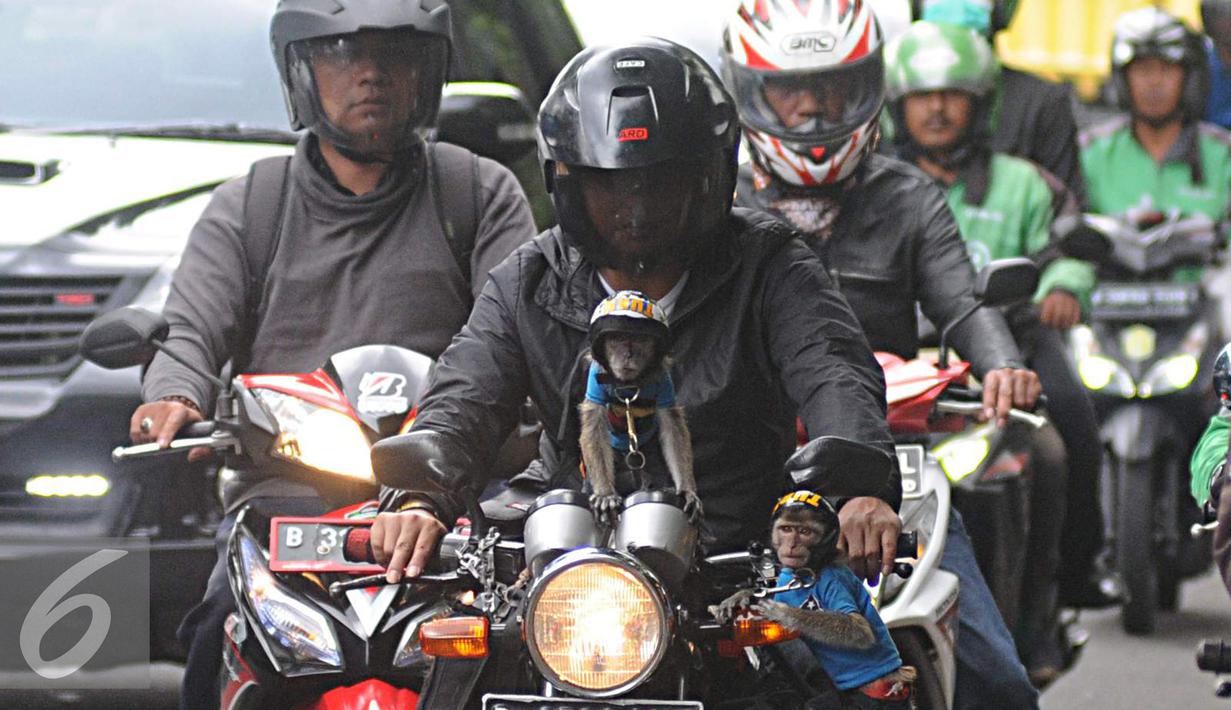 Foto Monyet Lucu Naik Motor - Gambar Ngetrend dan VIRAL