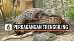 Perdagangan satwa liar untuk konsumsi manusia maupun untuk hewan peliharaan sebenarnya telah lama dilarang di Facebook dan banyak jejaring sosial. Tapi sejumlah pengguna masih melakukan secara rahasia. Ini pun mendapat respons dari aktivis lingkungan...