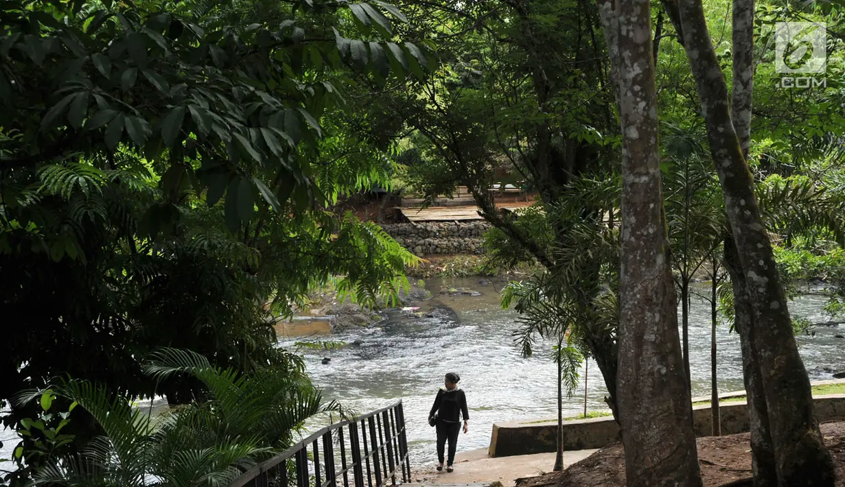 Wisatawan mengunjungi air terjun Temam di Kota Lubuklinggau, Sumatera Selatan, Rabu (10/1). Air Terjun Temam ini  berasal dari Sungai Temam yang dikenal memiliki sumber air yang masih terjaga kebersihannya. (Liputan6.com/Immanuel Antonius)