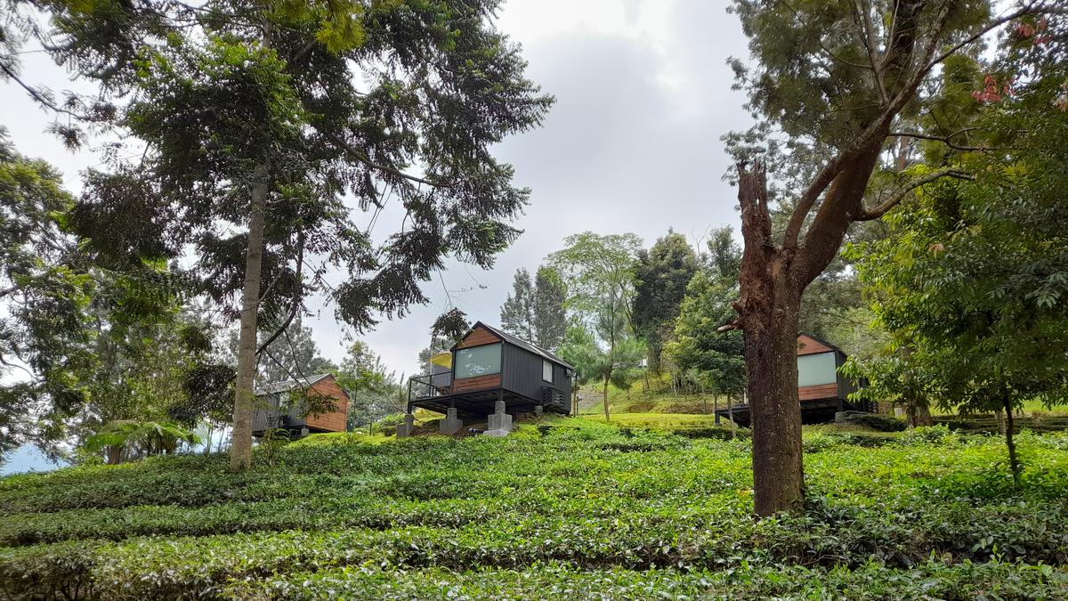 Bobocabin Gunung Mas Puncak Bogor Tetap Beroperasi Meski Dipasangi Plang Pengawasan KLH