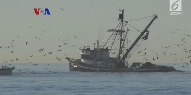 VIDEO: Berkurangnya Tangkapan Nelayan akibat Perubahan Iklim