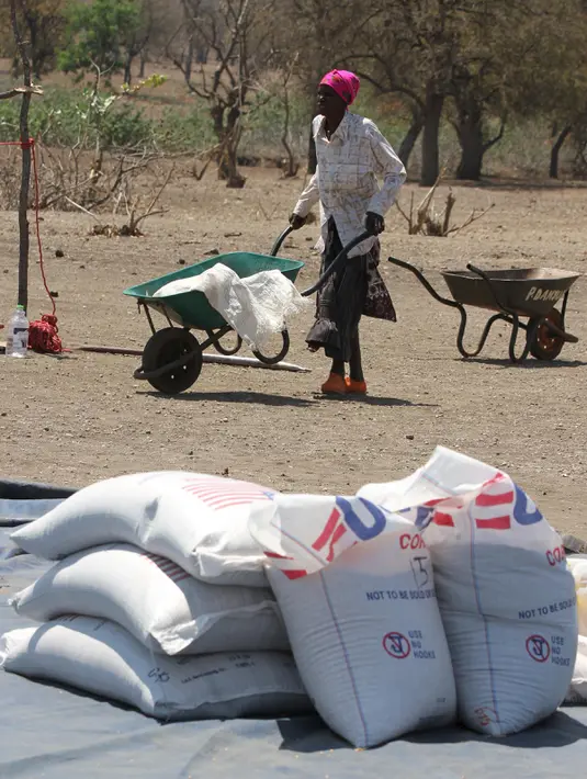 Seorang wanita mengambil bantuan makanan dari World Food Programme di Chiredzi Mupinga, Zimbabwe, Selasa (6/10). Puluhan juta orang di wilayah sub-Sahara Afrika akan mengalami kelaparan akibat siklus El Nino mencapai puncaknya. (REUTERS/Philimon Bulawayo)