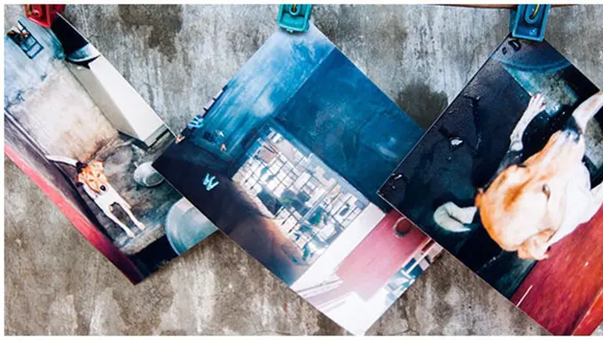 Foto: copyright wikihow.com