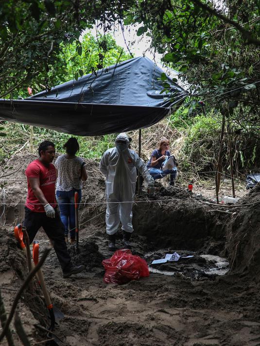 Peneliti melihat sisa-sisa manusia, yang ditempatkan di tas merah, di kuburan massal rahasia di negara bagian Veracruz, Meksiko, Jumat (7/9). Pada Maret 2017, penyelidik juga menemukan 253 tengkorak di sejumlah kuburan massal Veracruz. (AP/Felix Marquez)