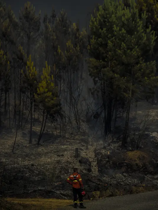 Seorang petugas pemadam kebakaran berdiri di depan hutan yang terbakar di desa Casas de Ribeira di Macao, Portugal tengah (21/7/2019). Puluhan orang tewas akibat  kebakaran hutan tersebut. (AFP Photo/Patricia De Melo Moreira)
