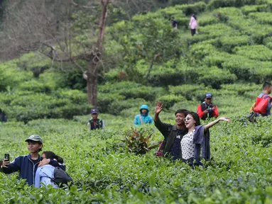 Pasangan muda mudi berfoto di kawasan wisata Kebun teh Puncak Kabupaten Bogor Jawa Barat, Sabtu (31/10/2020). Libur panjang peringatan Maulid Nabi Muhammad SAW dimanfaatkan warga untuk mengunjungi lokasi-lokasi wiisata. (Liputan6.com/Helmi Fithriansyah)