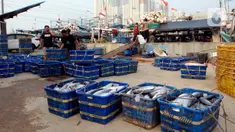 Suasana nelayan saat bongkar muat ikan di TPI Muara Karang, Jakarta, Selasa (1/8/2023). Pada 2023, PT Perikanan Indonesia gencar melakukan ekspor. (Liputan6.com/Johan Tallo)