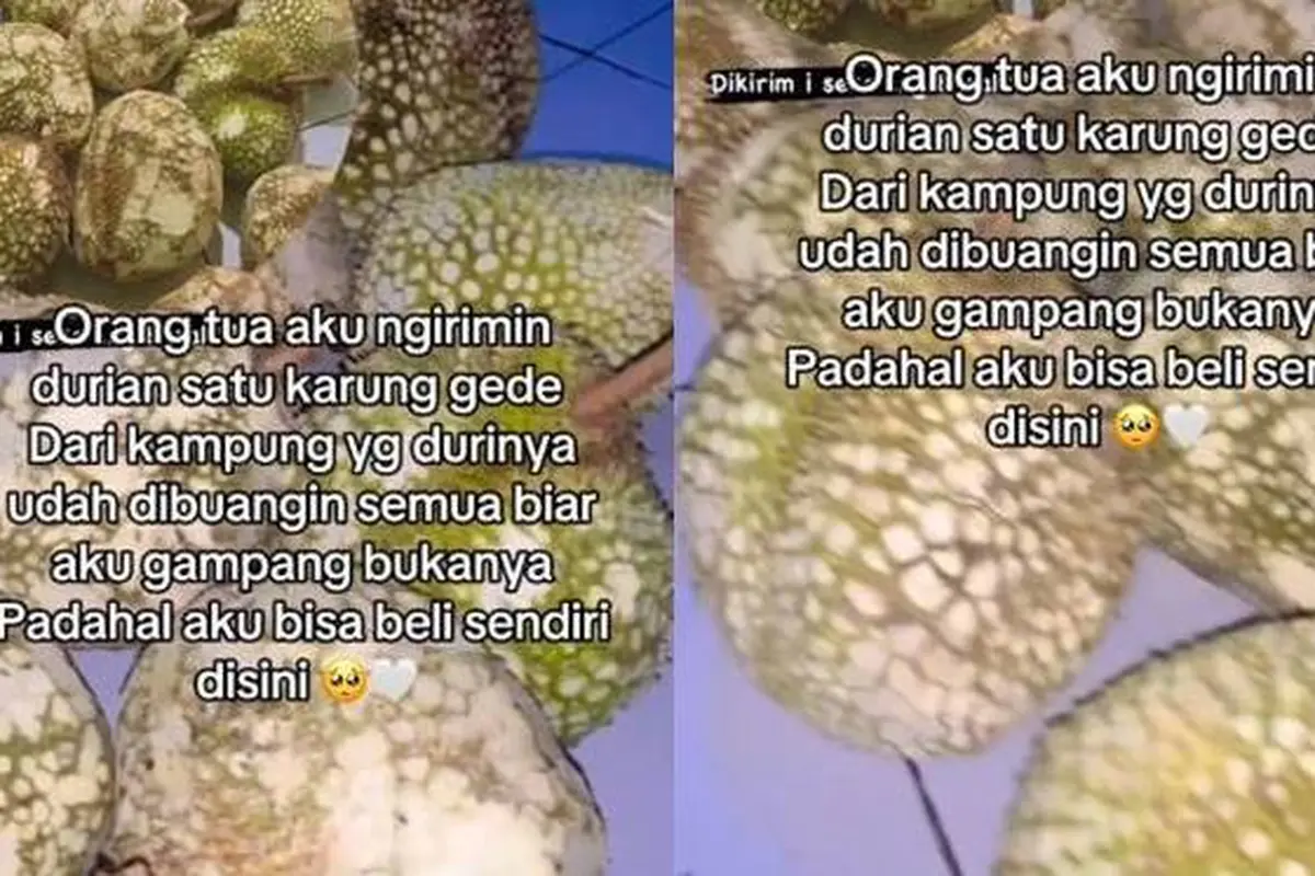 Viral, Orang Tua Kirim Durian untuk Anak dengan Duri yang Sudah Dibuang Ini Kocak