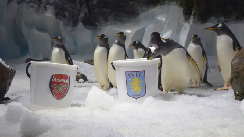 Penguin peramal jagokan Aston Villa di Final FA Cup (Mirror)