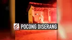 Warga ini punya cara unik untuk mengusir pocong. Dengan menggunakan petasan, pocong berhasil lari terbirit-birit. Ini dilakukan warga karena pocong telah membuat resah.