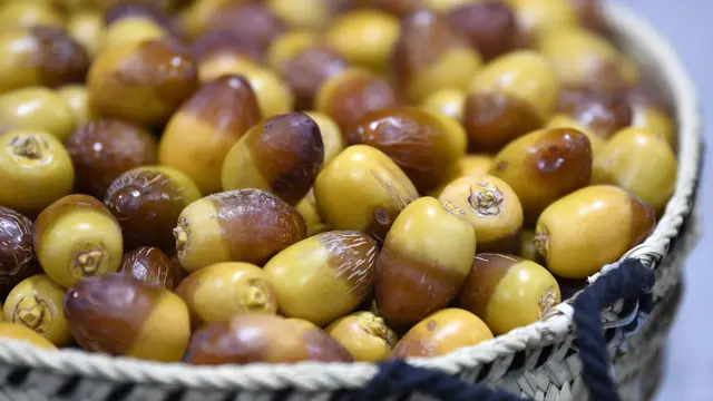 Manfaat Kurma Muda