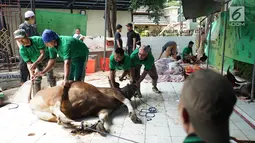 Petugas bersiap menyembelih sapi yang dikurbankan pada Idul Adha 1440 H di halaman Masjid Sunda Kelapa, Jakarta, Minggu (11/8/2019). Setiap tahun, Masjid Sunda Kelapa rutin melakukan penyembelihan hewan kurban yang berasal dari masyarakat. (Liputan6.com/Immanuel Antonius)