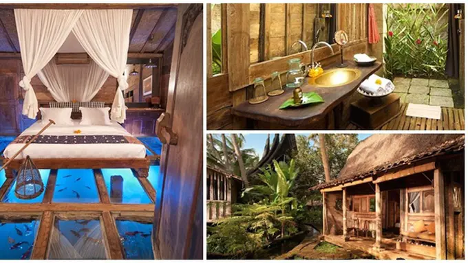 Foto: copyright dailymail.co.uk