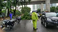 Hujan Reda, 2 Kecelakaan Transjakarta Warnai Jakarta