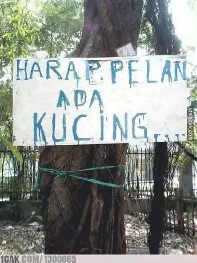 9 Potret Himbauan Pelan-Pelan di Jalan Ini Bikin Geleng Kepala
