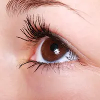 eyelash aman/pixabay