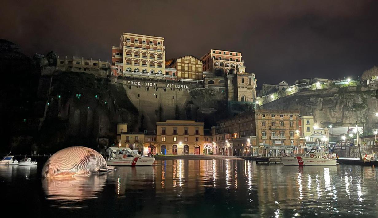 Selebaran foto pada 20 Januari 2021 menunjukkan bangkai paus berukuran besar (kiri) di pelabuhan Sorrento saat ditarik oleh penjaga pantai Italia menuju pelabuhan Napoli. Bangkai paus itu "mungkin salah satu yang terbesar" yang pernah ditemukan di Mediterania. (HO/GUARDIA COSTIERA/AFP)
