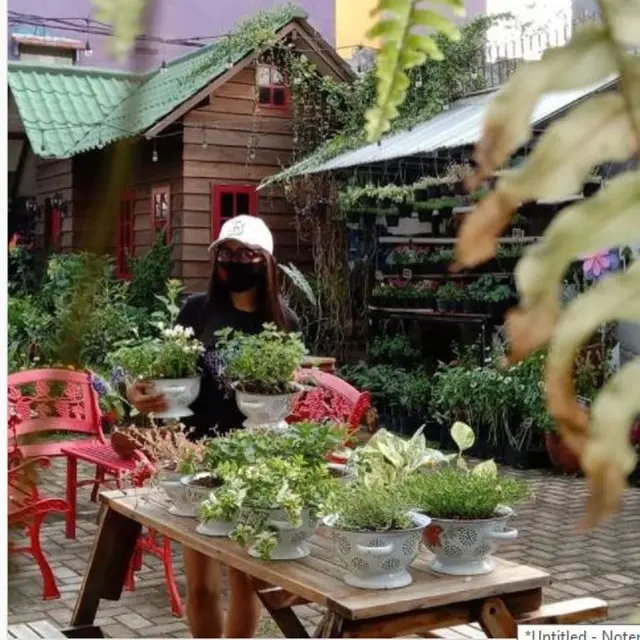 Restoran di Jakarta Masak Makanan dari Hasil Kebun Sendiri