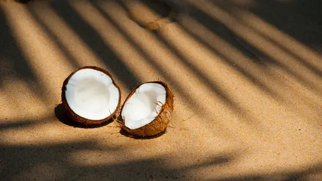 Ilustrasi Buah Kelapa Tua (Foto: VisionPic .net/Pexels.com)