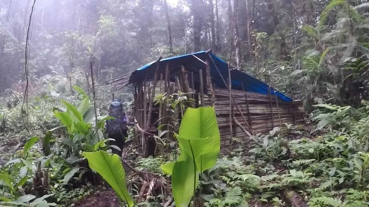 Kamp Pemburu Rangkong