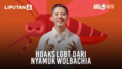 VIDEO CEK FAKTA: Nyamuk Wolbachia Bikin LGBT. Masa Iya?