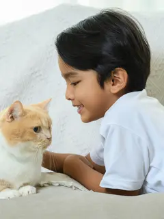 Penasaran apa saja yang perlu diketahui saat bepergian dengan anabul? Simak selengkapnya berikut ini.