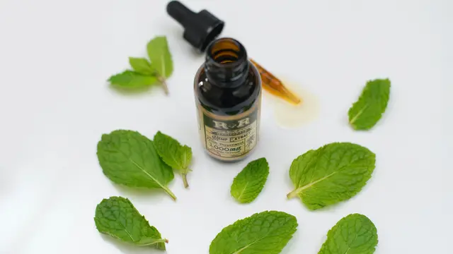 ilustrasi aromaterapi peppermint/unsplash