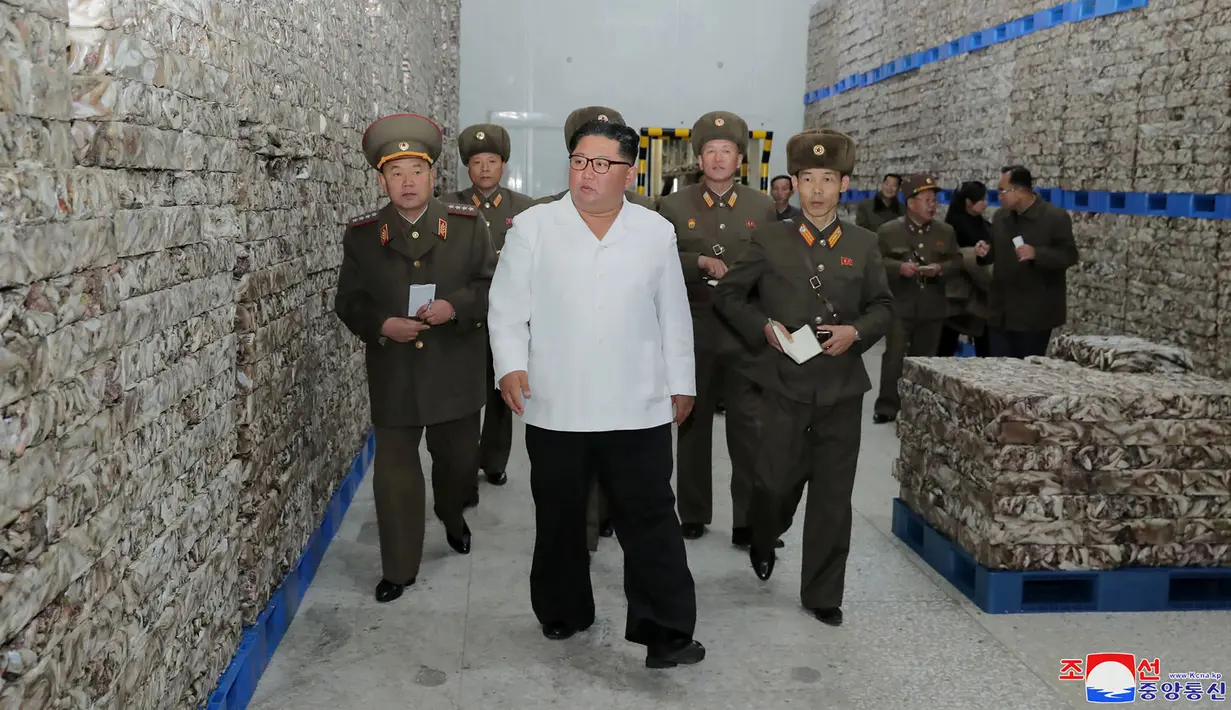 Gambar tak bertanggal yang dirilis pada 19 November 2019, pemimpin Korea Utara Kim Jong-un (tengah) mengunjungi pabrik pengolahan ikan di lokasi yang dirahasiakan di Korea Utara. Kim Jong-un berbicara dengan para pekerja dan sesekali tertawa saat berkeliling pabrik.  STRINGER/KCNA VIA KNS/AFP)