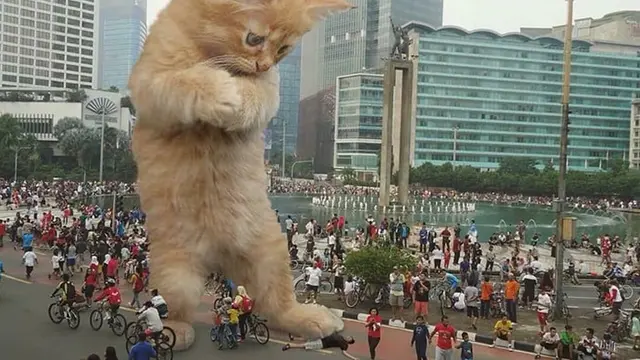 Cats in the town